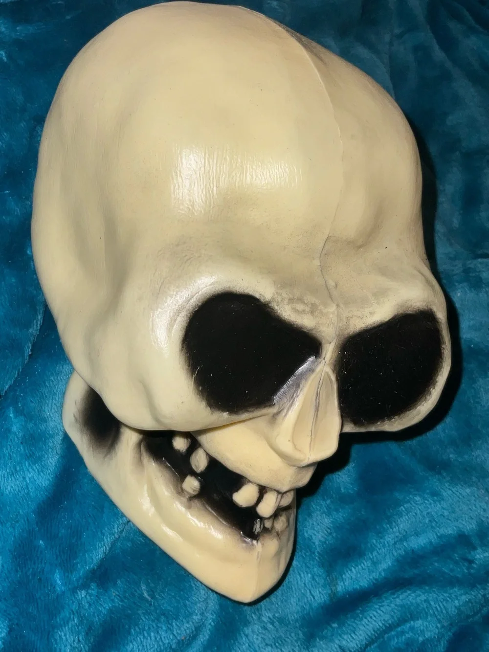 N/A vibrant skull